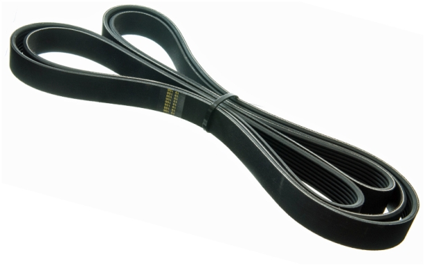 Evora NA Drive Belt A132E6397S Image