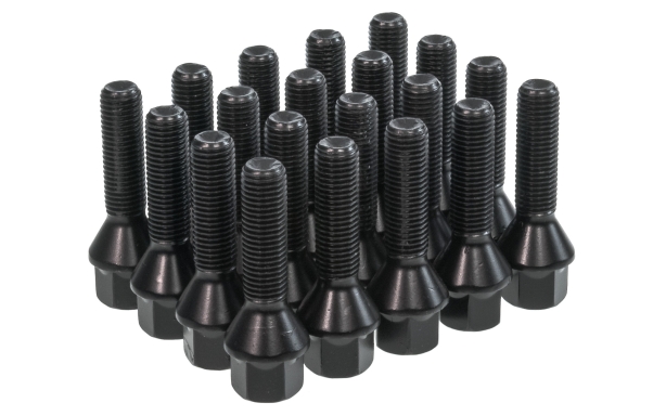 S2 / S3 Black Wheel Bolts Image