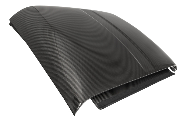 S2 / S3 Elise Carbon Fibre "Short" Hardtop Image