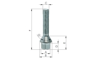 50mm Long Wheel Bolts Image