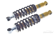 Europa VX220 Bilstein Damper & Spring Set Image