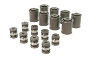 Lotus V6 Exige Wishbone Bearing Set Image