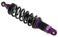 Pair Of Quantum Racing Damper Springs Image