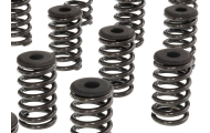 Piper V6 Exige / Evora Valve Springs & Caps Image