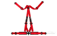 Willans Club Non-FIA Red Harness Image