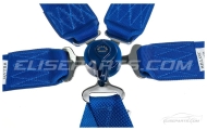 Willans Silverstone A4 FIA Blue Harness Image